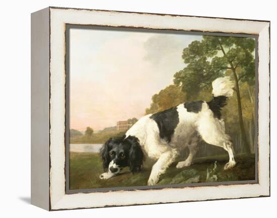 A Spaniel in a Landscape, 1771-George Stubbs-Framed Premier Image Canvas