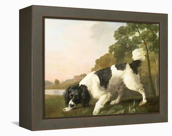 A Spaniel in a Landscape, 1771-George Stubbs-Framed Premier Image Canvas