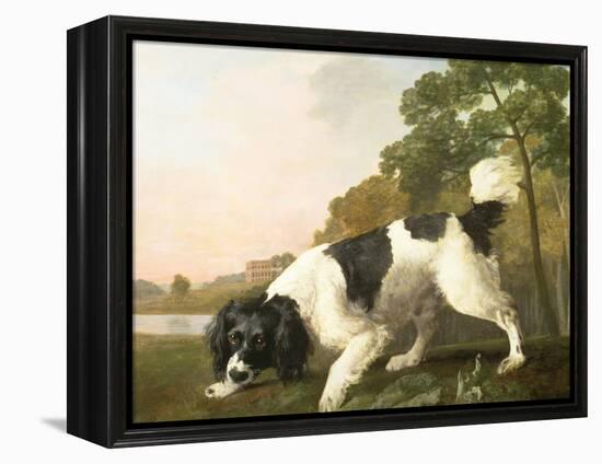 A Spaniel in a Landscape, 1771-George Stubbs-Framed Premier Image Canvas