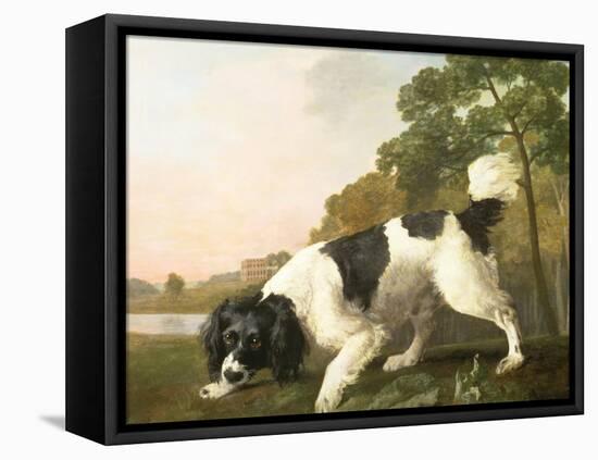 A Spaniel in a Landscape, 1771-George Stubbs-Framed Premier Image Canvas