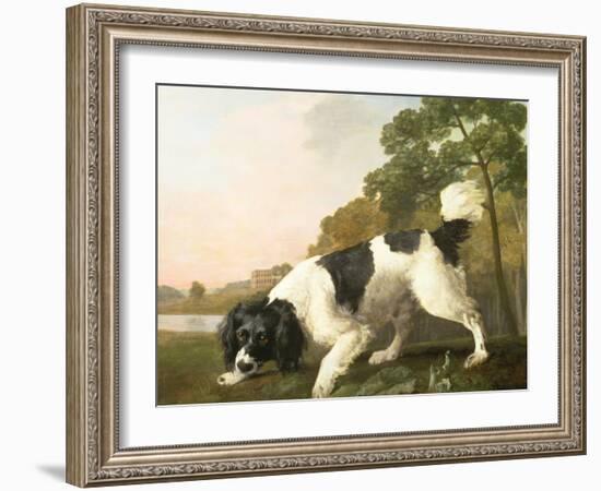 A Spaniel in a Landscape, 1771-George Stubbs-Framed Giclee Print