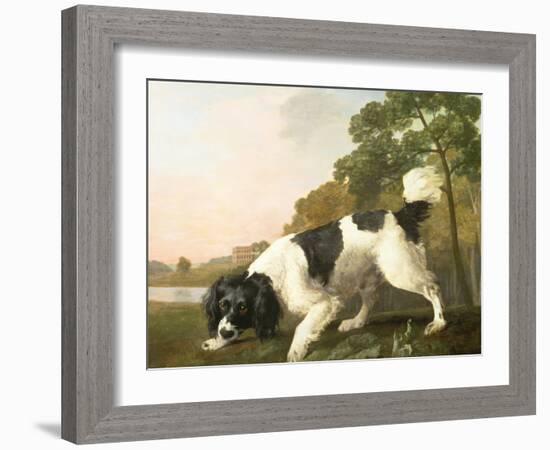 A Spaniel in a Landscape, 1771-George Stubbs-Framed Giclee Print