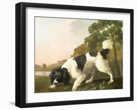 A Spaniel in a Landscape, 1771-George Stubbs-Framed Giclee Print