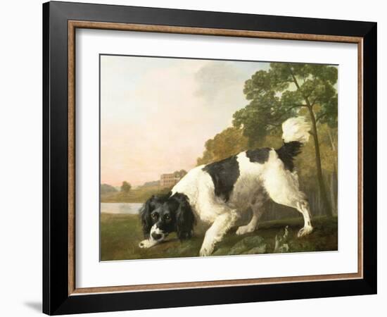 A Spaniel in a Landscape, 1771-George Stubbs-Framed Giclee Print