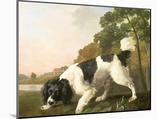 A Spaniel in a Landscape, 1771-George Stubbs-Mounted Giclee Print