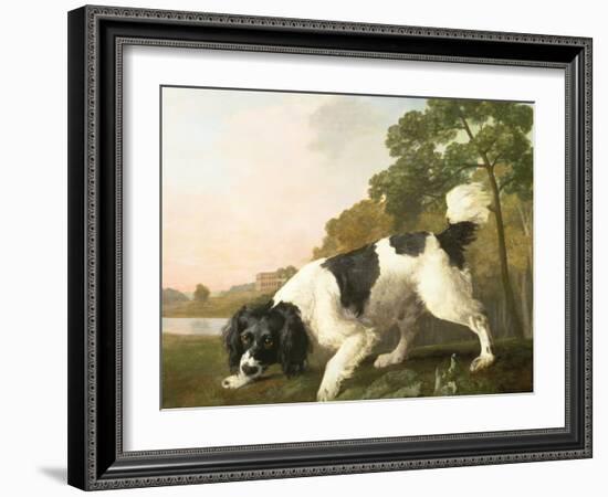 A Spaniel in a Landscape, 1771-George Stubbs-Framed Giclee Print