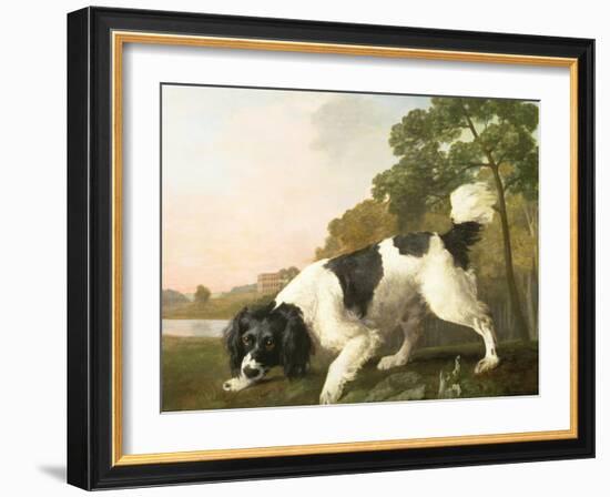 A Spaniel in a Landscape, 1771-George Stubbs-Framed Giclee Print