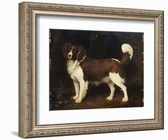 A Spaniel in a Landscape, 1784-George Stubbs-Framed Giclee Print