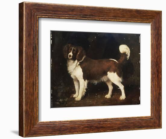 A Spaniel in a Landscape, 1784-George Stubbs-Framed Giclee Print