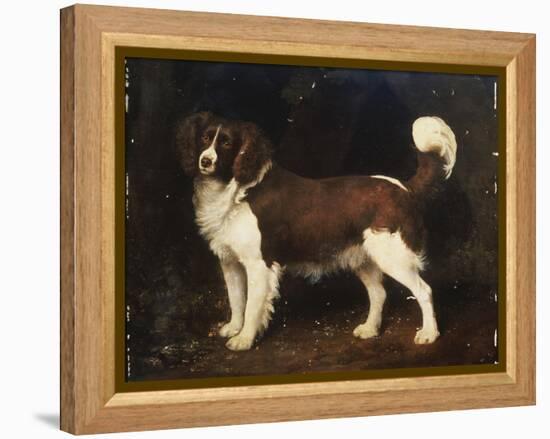 A Spaniel in a Landscape, 1784-George Stubbs-Framed Premier Image Canvas