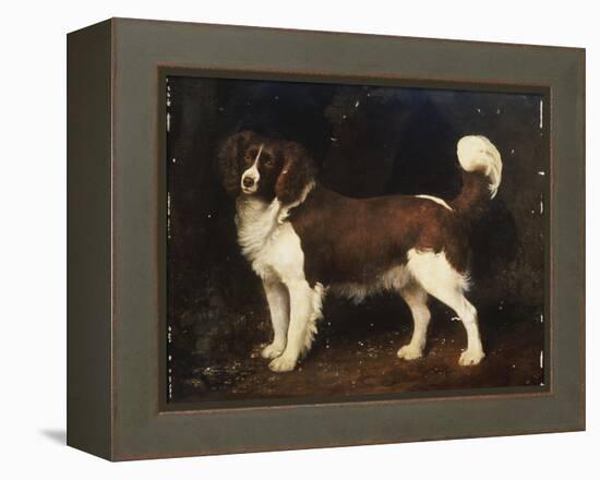 A Spaniel in a Landscape, 1784-George Stubbs-Framed Premier Image Canvas