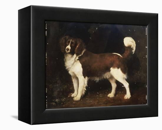 A Spaniel in a Landscape, 1784-George Stubbs-Framed Premier Image Canvas