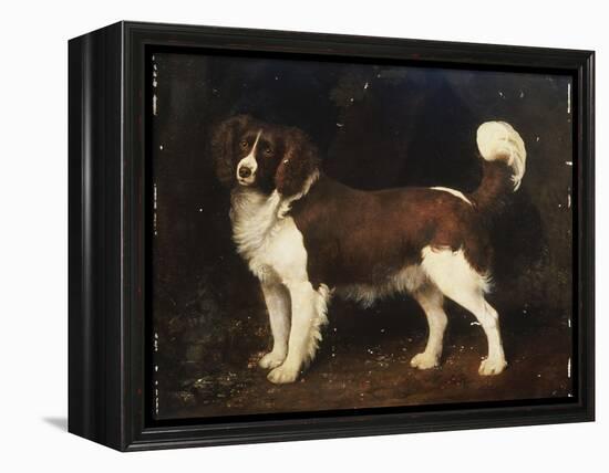 A Spaniel in a Landscape, 1784-George Stubbs-Framed Premier Image Canvas