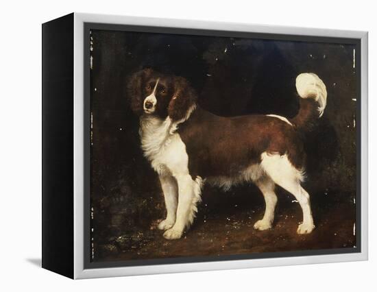 A Spaniel in a Landscape, 1784-George Stubbs-Framed Premier Image Canvas