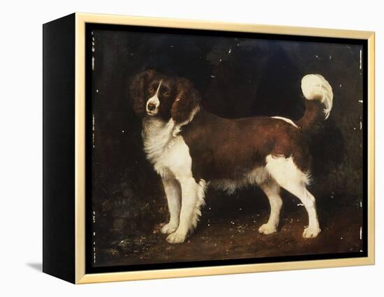 A Spaniel in a Landscape, 1784-George Stubbs-Framed Premier Image Canvas