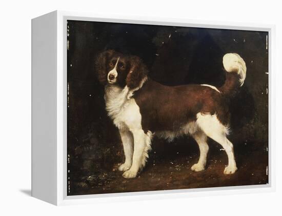 A Spaniel in a Landscape, 1784-George Stubbs-Framed Premier Image Canvas