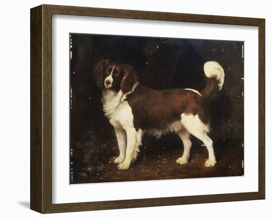 A Spaniel in a Landscape, 1784-George Stubbs-Framed Giclee Print