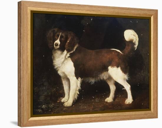 A Spaniel in a Landscape, 1784-George Stubbs-Framed Premier Image Canvas