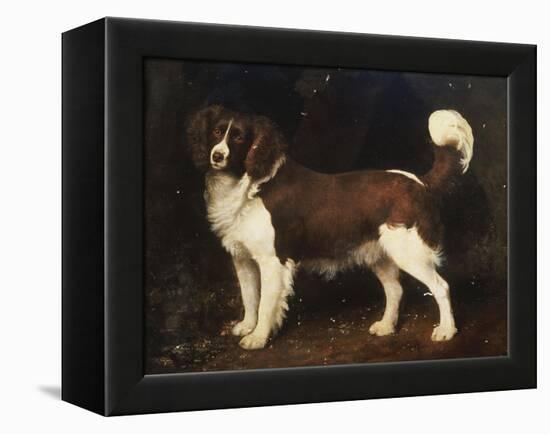 A Spaniel in a Landscape, 1784-George Stubbs-Framed Premier Image Canvas