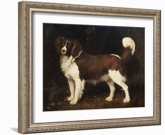 A Spaniel in a Landscape, 1784-George Stubbs-Framed Giclee Print