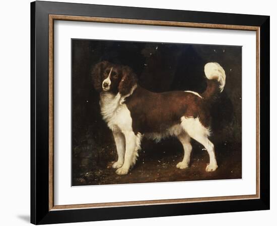 A Spaniel in a Landscape, 1784-George Stubbs-Framed Giclee Print