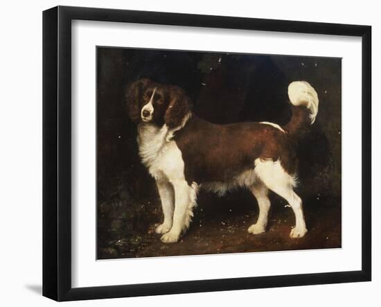 A Spaniel in a Landscape, 1784-George Stubbs-Framed Giclee Print