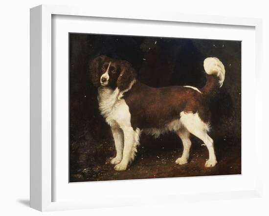 A Spaniel in a Landscape, 1784-George Stubbs-Framed Giclee Print