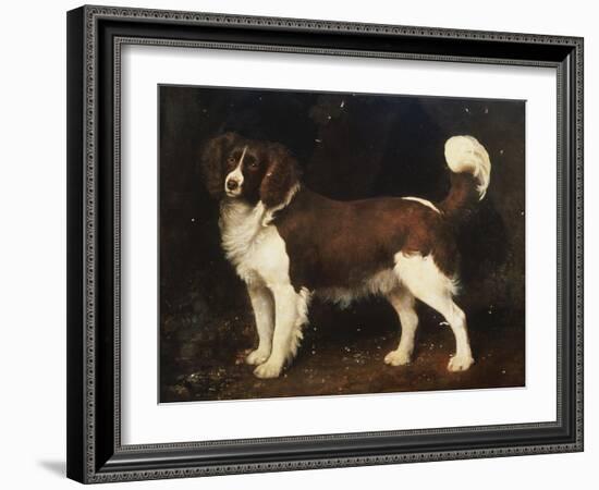 A Spaniel in a Landscape, 1784-George Stubbs-Framed Giclee Print