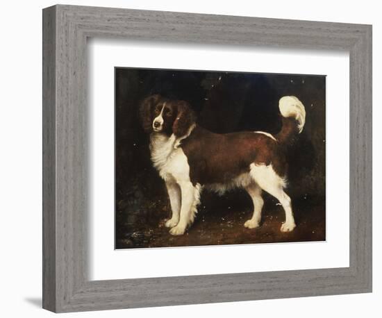 A Spaniel in a Landscape, 1784-George Stubbs-Framed Giclee Print