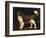 A Spaniel in a Landscape, 1784-George Stubbs-Framed Giclee Print