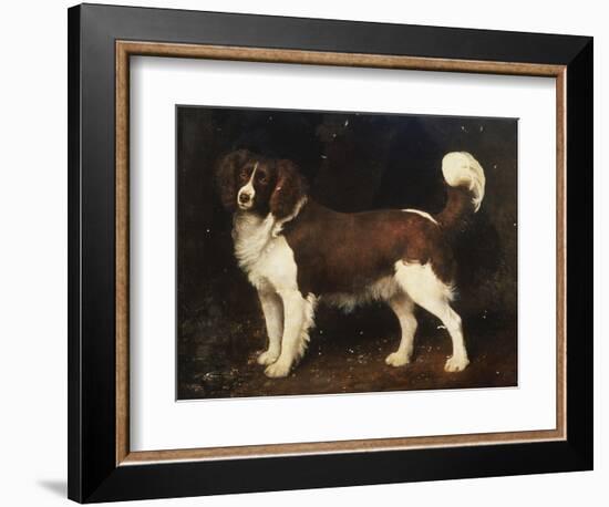 A Spaniel in a Landscape, 1784-George Stubbs-Framed Giclee Print