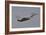 A Spanish Air Force Eurofighter Typhoon 2000 Taking Off-Stocktrek Images-Framed Photographic Print