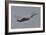 A Spanish Air Force Eurofighter Typhoon 2000 Taking Off-Stocktrek Images-Framed Photographic Print
