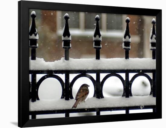 Photographic Print, , large