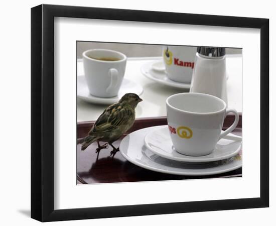 Photographic Print, , large