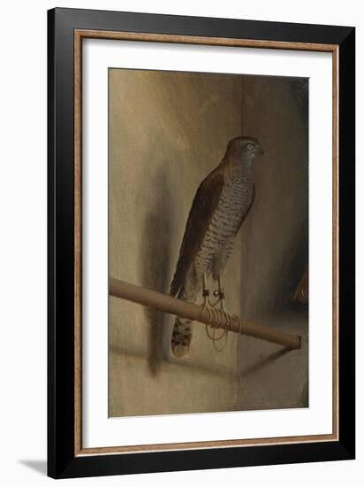 A Sparrowhawk, 1510S-Jacopo De' Barbari-Framed Giclee Print