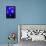 A Spectator Points at At Sea Nettles, Jelly Fish at the Monterey Bay Aquarium-null-Framed Premier Image Canvas displayed on a wall