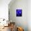 A Spectator Points at At Sea Nettles, Jelly Fish at the Monterey Bay Aquarium-null-Framed Premier Image Canvas displayed on a wall