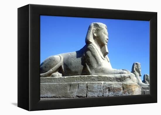 A Sphinx from the Avenue of Sphinxes, Temple Sacred to Amun Mut and Khons, Luxor, Egypt, C370 Bc-CM Dixon-Framed Premier Image Canvas