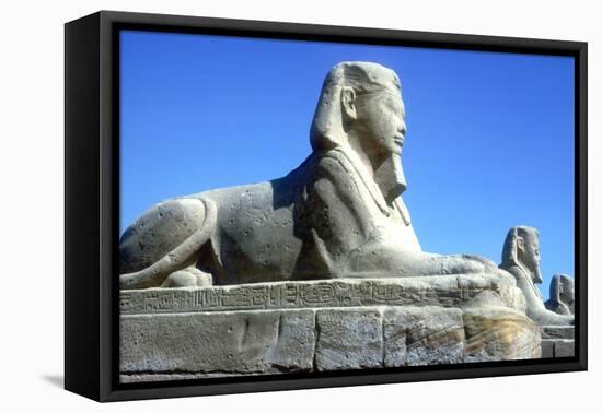 A Sphinx from the Avenue of Sphinxes, Temple Sacred to Amun Mut and Khons, Luxor, Egypt, C370 Bc-CM Dixon-Framed Premier Image Canvas