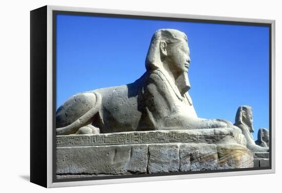 A Sphinx from the Avenue of Sphinxes, Temple Sacred to Amun Mut and Khons, Luxor, Egypt, C370 Bc-CM Dixon-Framed Premier Image Canvas