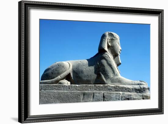 A Sphinx from the Avenue of Sphinxes, Temple Sacred to Amun Mut and Khons, Luxor, Egypt, C370 Bc-CM Dixon-Framed Photographic Print