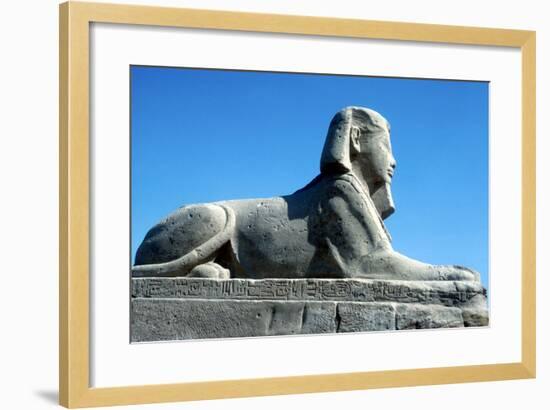 A Sphinx from the Avenue of Sphinxes, Temple Sacred to Amun Mut and Khons, Luxor, Egypt, C370 Bc-CM Dixon-Framed Photographic Print