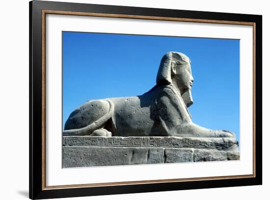 A Sphinx from the Avenue of Sphinxes, Temple Sacred to Amun Mut and Khons, Luxor, Egypt, C370 Bc-CM Dixon-Framed Photographic Print