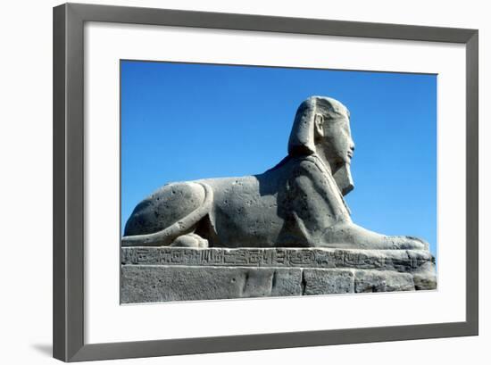 A Sphinx from the Avenue of Sphinxes, Temple Sacred to Amun Mut and Khons, Luxor, Egypt, C370 Bc-CM Dixon-Framed Photographic Print