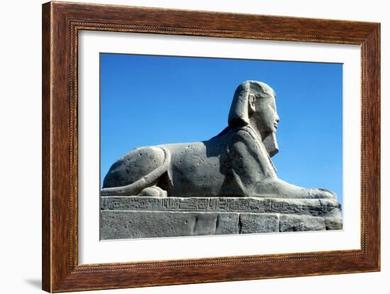 A Sphinx from the Avenue of Sphinxes, Temple Sacred to Amun Mut and Khons, Luxor, Egypt, C370 Bc-CM Dixon-Framed Photographic Print