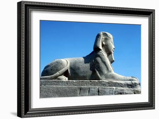 A Sphinx from the Avenue of Sphinxes, Temple Sacred to Amun Mut and Khons, Luxor, Egypt, C370 Bc-CM Dixon-Framed Photographic Print