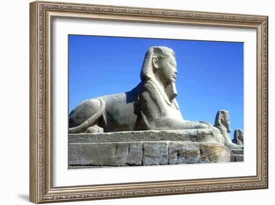 A Sphinx from the Avenue of Sphinxes, Temple Sacred to Amun Mut and Khons, Luxor, Egypt, C370 Bc-CM Dixon-Framed Photographic Print