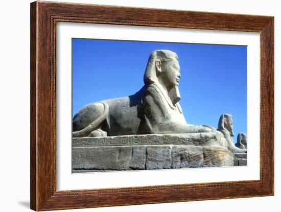 A Sphinx from the Avenue of Sphinxes, Temple Sacred to Amun Mut and Khons, Luxor, Egypt, C370 Bc-CM Dixon-Framed Photographic Print