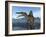 A Spinosaurus Searches for its Next Meal-Stocktrek Images-Framed Photographic Print